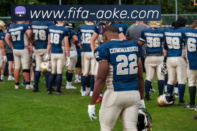 澳客app服务体系